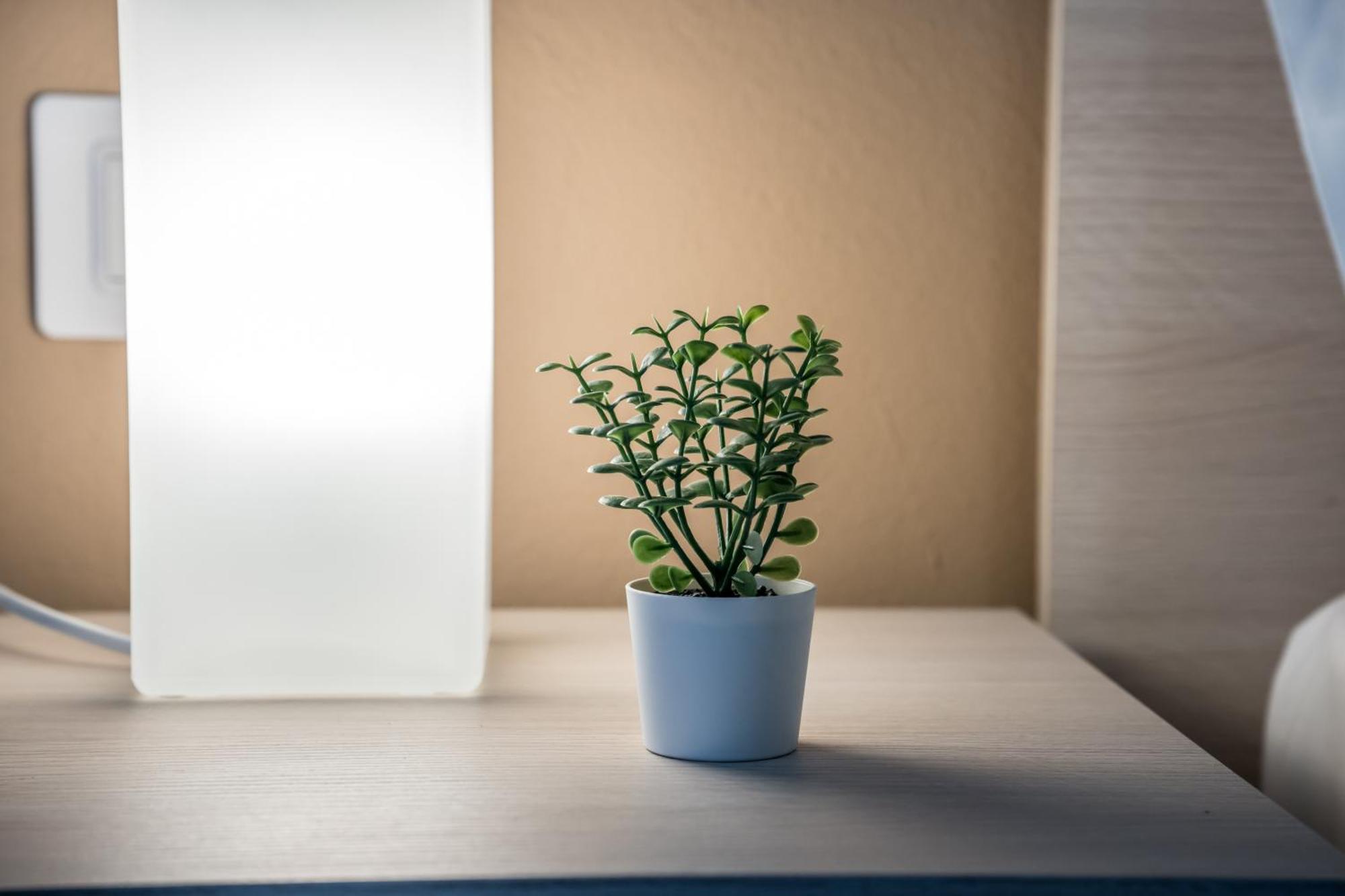 Shortmi Canonica Apartment *